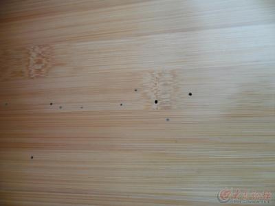 竹地板生虫怎么办 竹地板生虫 竹地板生虫怎么处理?