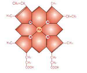 血红素高有什么危害 血红素