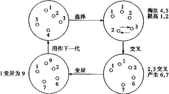 最优控制理论课后答案 最优控制理论