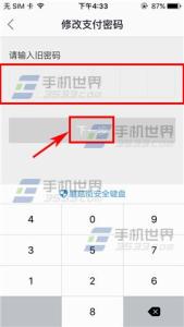 微信支付密码怎么修改 番茄炒蛋怎么修改支付密码