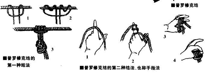 常用绳结及打法 常用户外绳结及打法图文介绍