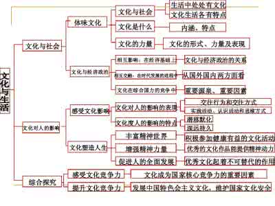 高中政治易错易混点 高中政治【经济文化哲学】教材易错易混知识点，最终版本！