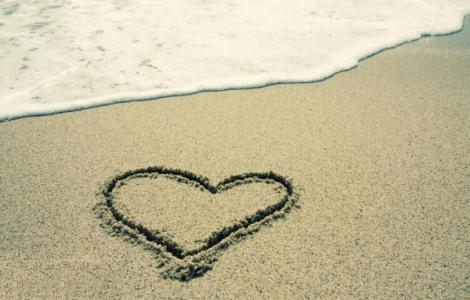 草履虫营养液怎么做 爱情中，只想做简单的“草履虫”