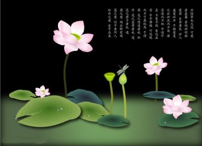 半学修心半读书 在读书中选择慢慢修心