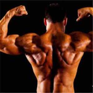 锻炼全身肌肉的方法 锻炼全身肌肉的方法 跑步锻炼全身肌肉的方法