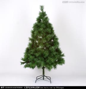 小故事大道理 【小故事大道理】窗台上的圣诞树