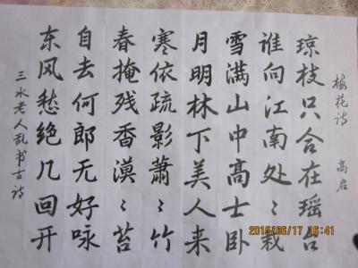 高启梅花诗 七律：步韵高启梅花诗——文/芳草思思