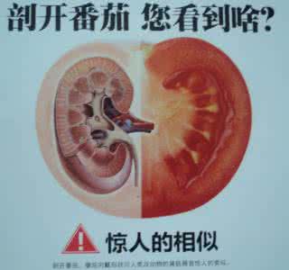冷暖人生 人生冷暖顺口溜