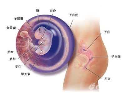 怀孕多久可以做人流 怀孕多久可以做人流 多久可以做人流