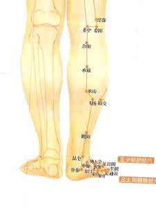 百病从腿养 治百病从腿养（10种养腿治病之法）