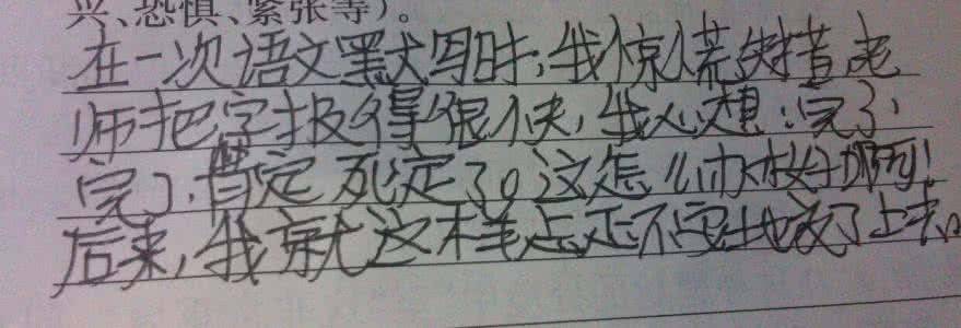四季作文600字 心情四季作文100字
