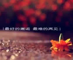 难忘初恋 寄几番邂逅 我想成为你最好的邂逅,最难的再见
