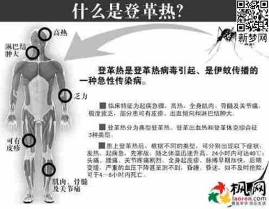 登革热的症状 登革热的症状有哪些 登革热的病因有哪些