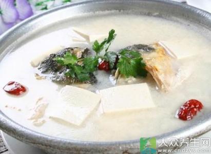 鱼头炖豆腐的家常做法 鱼头豆腐汤的做法大全