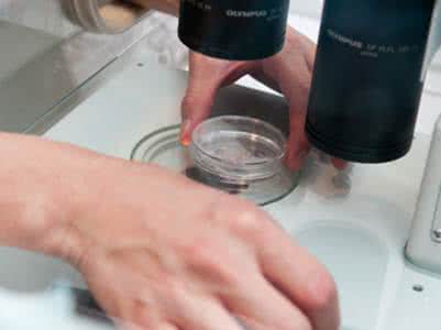 泰国试管婴儿费用 泰国试管婴儿费用 泰国试管婴儿双胎和多胎费用是一样的吗？