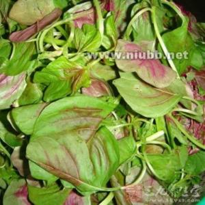 苋菜的功效与作用 苋菜的功效与作用 苋菜有哪些功效