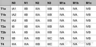 国际最新肺癌分期标准 最新国际肺癌TNM分期标准 (第8版 )修订稿解读