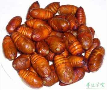 孕妇吃蚕蛹对胎儿好吗 孕妇可以吃蝉蛹吗