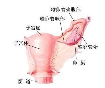 重度附件炎的治疗方法 治疗附件炎最好方法 附件炎治疗 附件炎的主要治疗方法有哪几种?