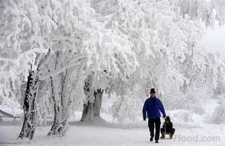 大雪时节做好三件事保你来年不生病