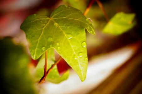 经典句子句句穿心 句句穿心1292