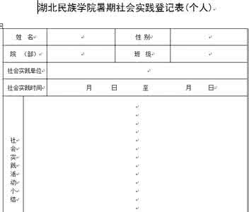 大学生社会实践报告 暑假社会实践 2011年大学生暑期社会实践报告_表格加范文