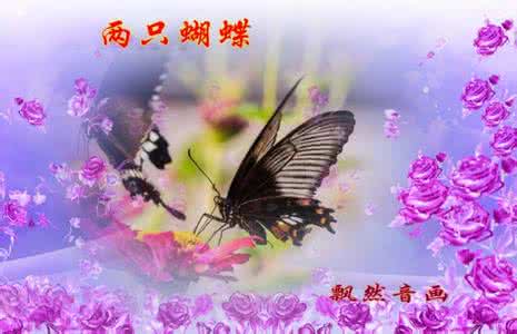 两只蝴蝶唯美图片 【唯美音画】两只蝴蝶