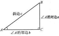 锐角三角函数知识点 锐角三角函数