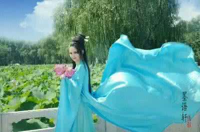一只停在莲花上的蝴蝶 我愿做一只蝴蝶——静听月和莲的传说