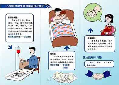 肝病种类 肝病预防 八种常见的肝病种类