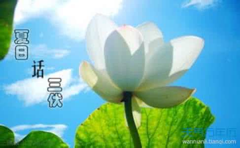 2018年初伏是哪一天 2016年初伏是哪一天