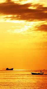 夕阳天使电影天堂 《天堂夕阳》第二章:有客自远方来