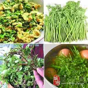 好菜知时节 【四季美食】好菜知时节——春季