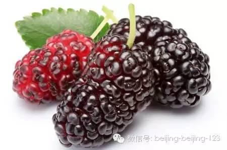 桑葚干对血管的好处 这样吃桑葚，能吃一年！保护血管通畅！