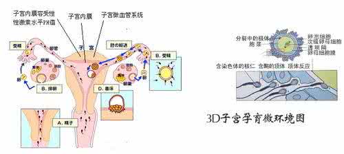 经期性行为的害处 经期性行为影响 银屑病对性行为的影响