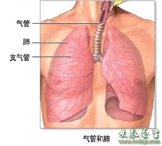 肺炎是什么原因引起的 肺炎传染吗