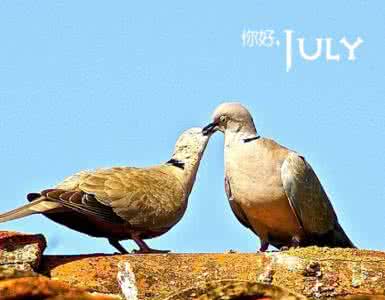 非常棒的三句话 5段话，非常棒！