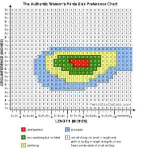 男性生殖器最大尺寸 图示令女人满足的最佳生殖器尺寸