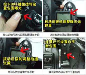 尼康d700相机使用指南 尼康D90完全用机指南