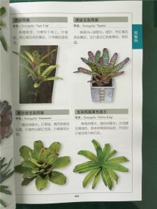 钩针网格花草图案大全 【钩针教程】花草..昆虫