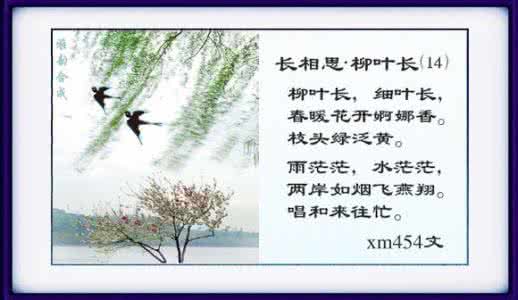 长相思图片 【美丽图片】长相思 系列