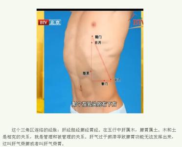 人体神秘的三角区 【人体结构】健康天地 人体神秘三角区 下