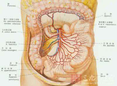 肋骨外扩 肋骨外扩 一招搞定水桶腰、青蛙肚、肋骨外扩和腹部胀气