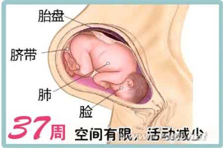 怀孕35周入盆什么感觉 入盆是什么感觉 入盆是什么？怀孕入盆的感觉