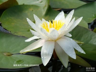 做事留有余地名人素材 感悟人生：做人做事要留有余地——