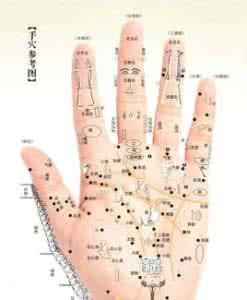 德国医学解剖女人视频 医学中医针灸慎针穴位的解剖