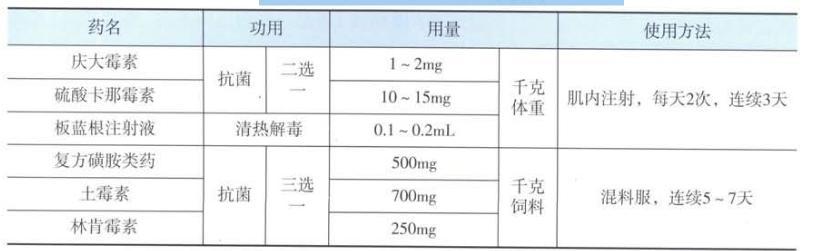 萎缩性鼻炎治疗方法 萎缩性鼻炎治疗方法 怎么样治疗萎缩性鼻炎