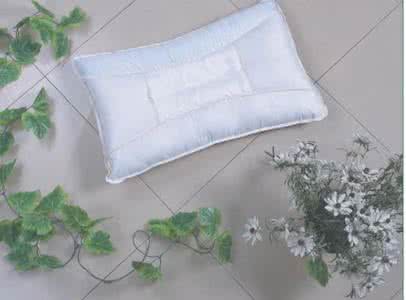 适之宝枕头怎么样 适之宝 适之宝枕头怎么样