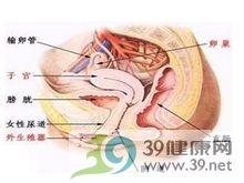 怀孕后分泌物增多 阴道分泌物增多 阴道分泌物增多怎么治疗