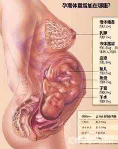 如何吃长胎不长肉 准妈妈“长胎不长肉”有三法宝